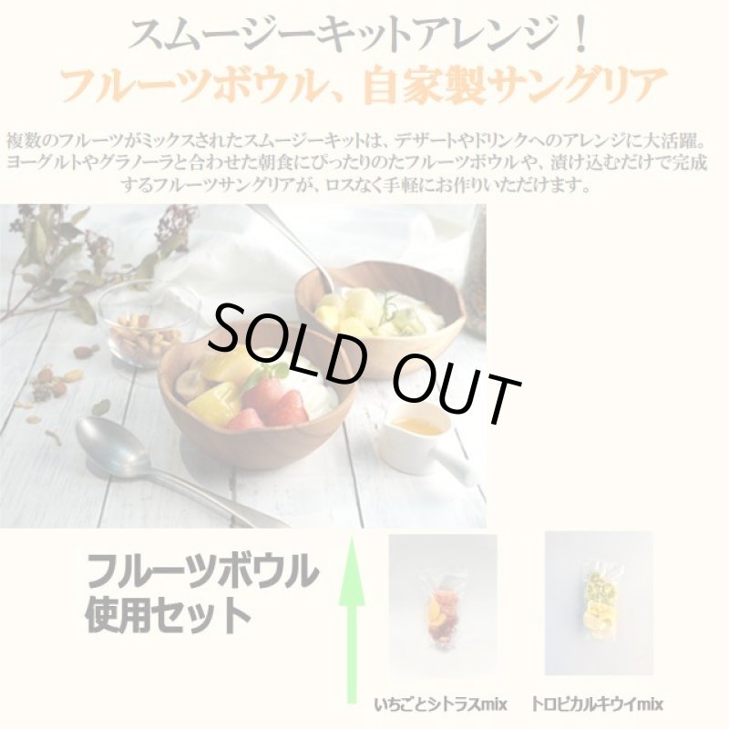 画像7: 高品質特殊冷凍食材アートロックフード「カットフルーツスムージーセット12パック」 (7)