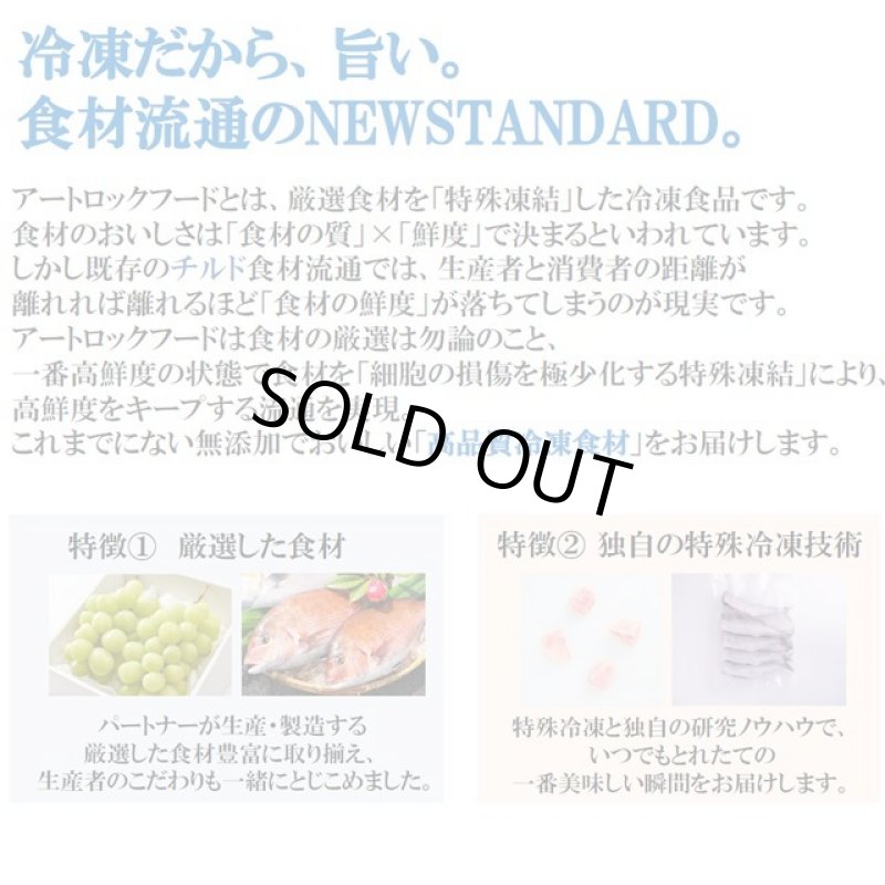 画像13: 高品質特殊冷凍食材アートロックフード「カットフルーツスムージーセット12パック」 (13)