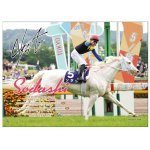 画像2: 「ソダシ」ヴィクトリアマイルVer.ジグソーパズル500ピース（木製フレームセット） (2)