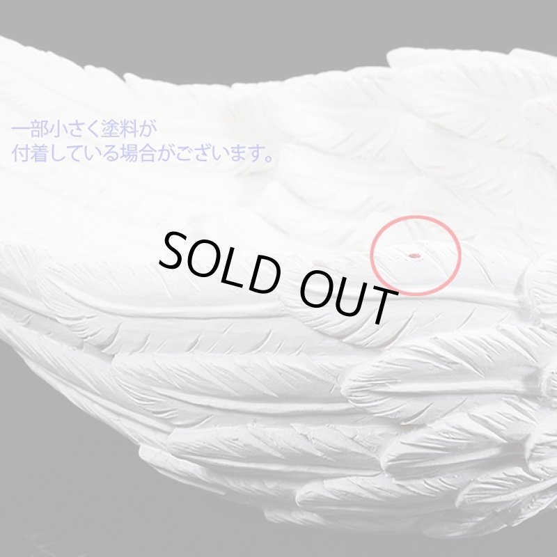 画像9: 合格祈願スペシャルセット「天然石デザートローズ+天使の羽皿セット(水晶さざれ付き)」 (9)