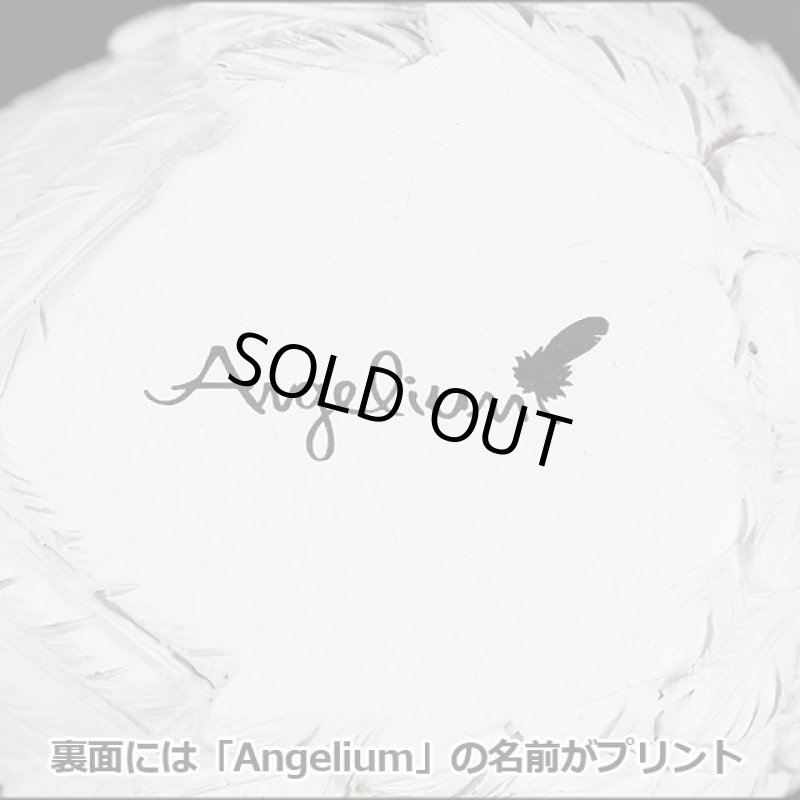 画像8: 合格祈願スペシャルセット「天然石デザートローズ+天使の羽皿セット(水晶さざれ付き)」 (8)