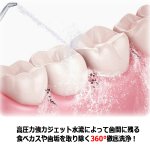 画像4: 別売APIYOO[アイユー]X7口腔洗浄器用交換ノズル4本（2種×2本）セット  (4)