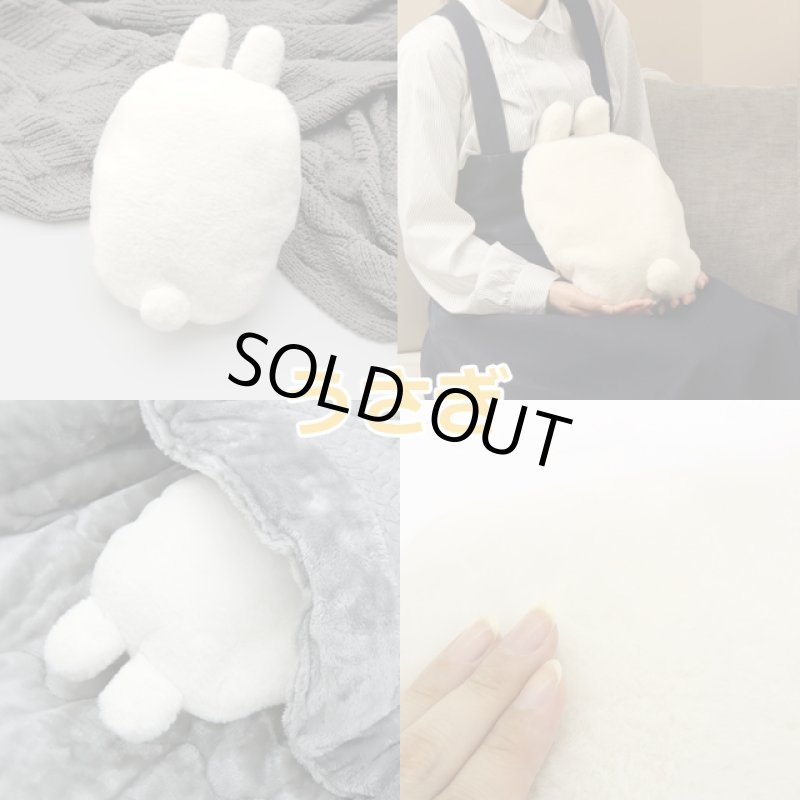 画像13: 蓄熱式ゆたんぽ「フレンズ」 (13)