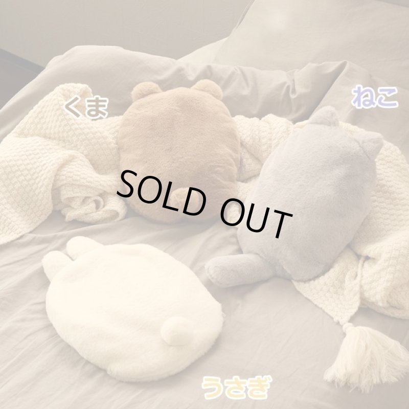 画像3: 蓄熱式ゆたんぽ「フレンズ」 (3)