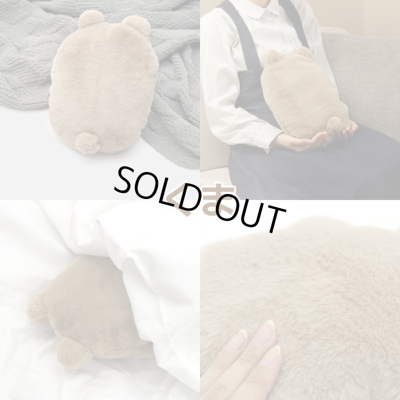 画像11: 蓄熱式ゆたんぽ「フレンズ」 (11)