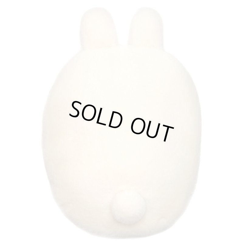 画像17: 蓄熱式ゆたんぽ「フレンズ」 (17)