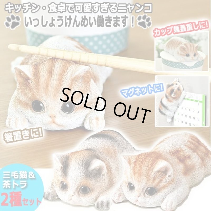 画像1: キッチン周りで大活躍！可愛すぎる寝そべりキャット（2種セット） (1)