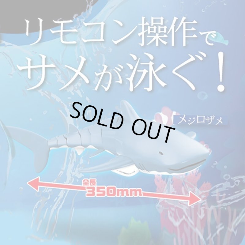 画像2: 2.4GHz「マリンシャークR/C」 (2)