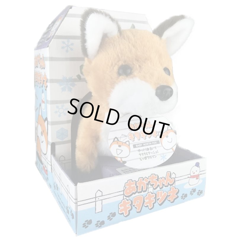 画像6: あかちゃんキタキツネ (6)