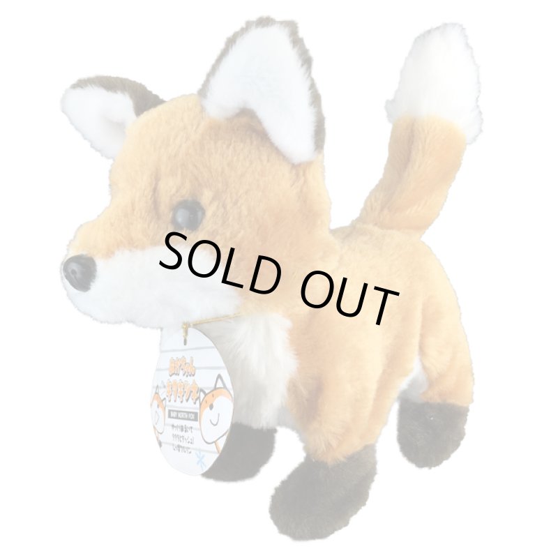 画像3: あかちゃんキタキツネ (3)