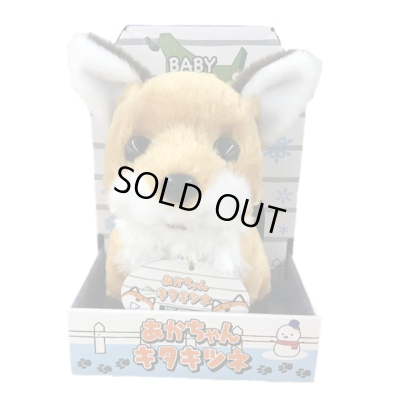 画像4: あかちゃんキタキツネ (4)