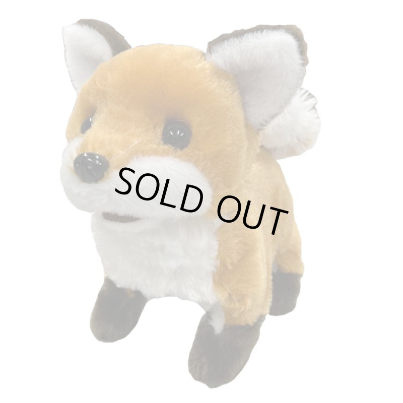 画像7: あかちゃんキタキツネ (7)