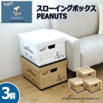 画像1: WorksonスローイングボックスPEANUTS「同色3個セット」 (1)