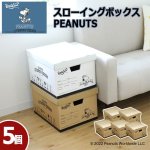 画像1: WorksonスローイングボックスPEANUTS「同色5個セット」 (1)