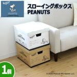 画像1: WorksonスローイングボックスPEANUTS 1個 (1)