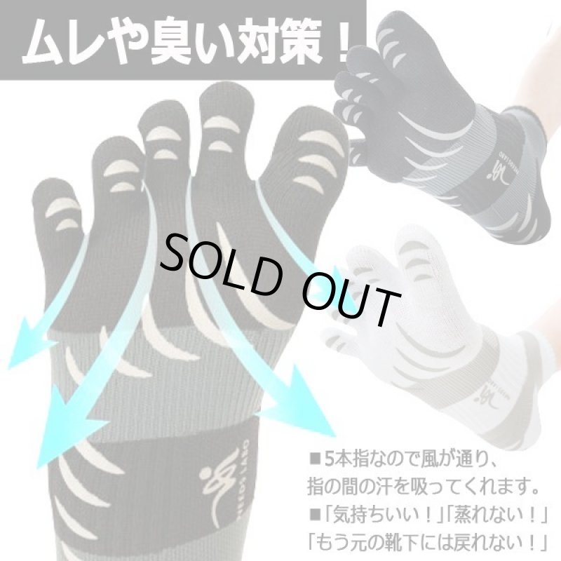 画像7: Dr.PRO大地をつかむ5本指ソックス[5足組]  (7)