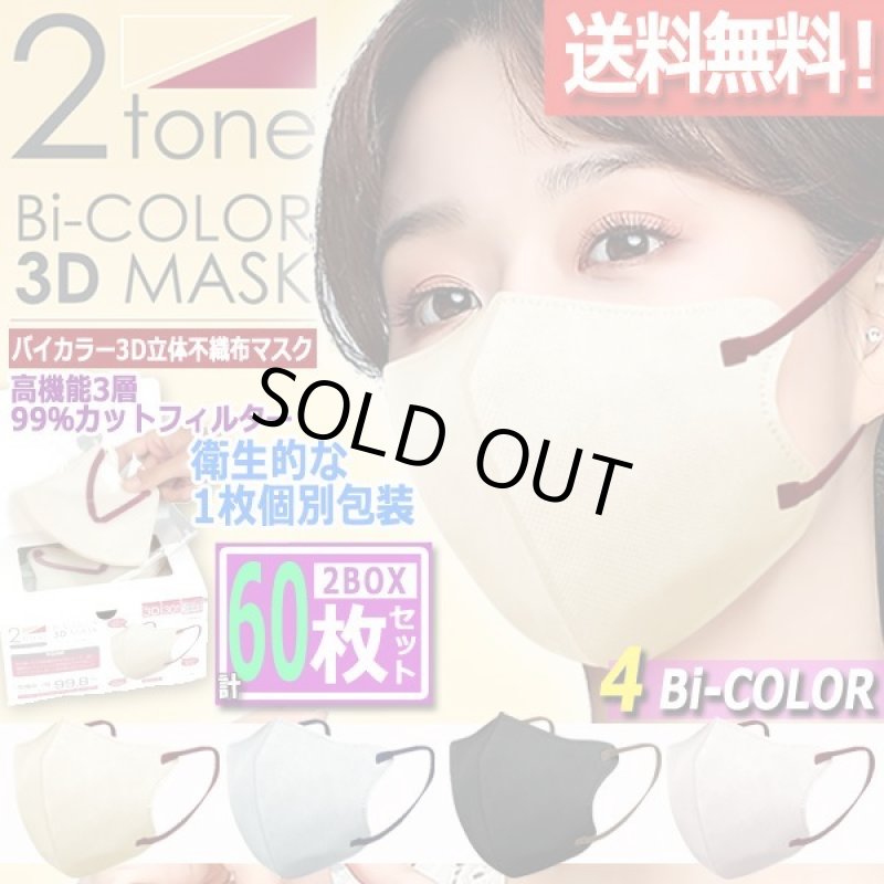 画像1: 送料無料！バイカラー3D立体不織布マスク99％カットフィルター2BOX（計60枚）セット (1)