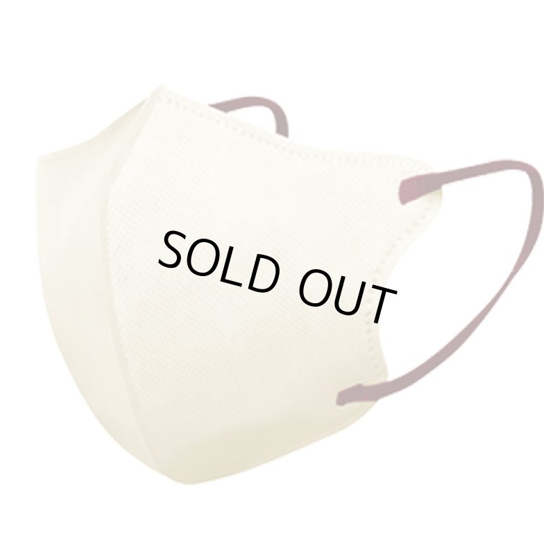 画像10: 送料無料!バイカラー3D立体不織布マスク99%カットフィルター1BOX(30枚)セット (10)