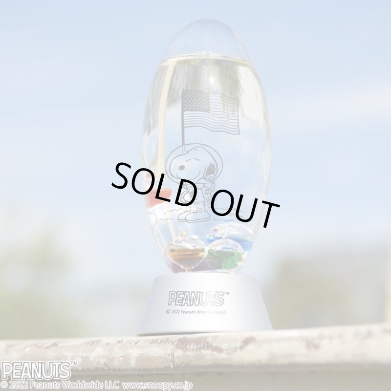 画像13: スヌーピー ガラスフロート温度計「アストロノーツ」 (13)