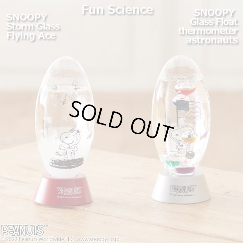 画像12: スヌーピー ガラスフロート温度計「アストロノーツ」 (12)