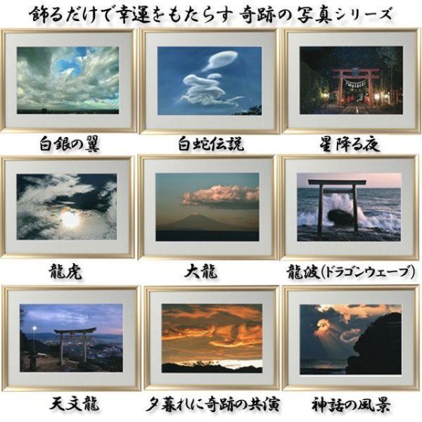 幸運をもたらす奇跡の写真「金色晩龍」FRM-PHT36