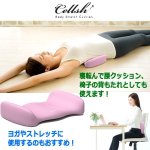 画像5: 送料無料！座ると挟まれ引き締まる！Cellsh[セルシュ]骨盤ホールドクッション (5)