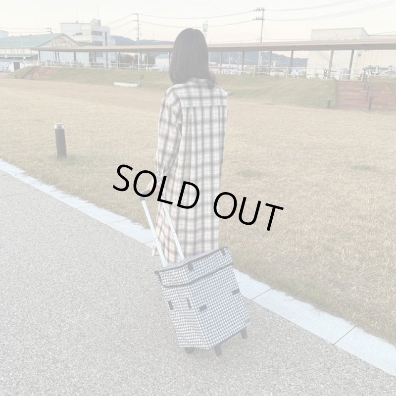 画像9: 送料無料！折りたためる大容量カート式ショッピングバッグ「Felioスマートショッピングバッグ」 (9)