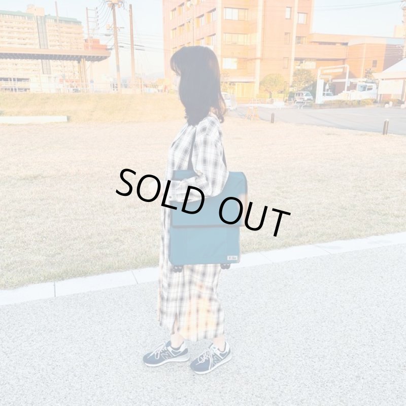 画像10: 送料無料！折りたためる大容量カート式ショッピングバッグ「Felioスマートショッピングバッグ」 (10)