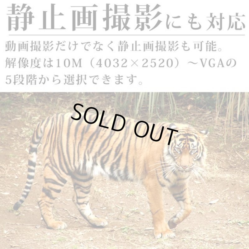 画像6: 録画機能搭載ハンディFHD暗視スコープデジタルナイトビジョン[豪華3点セット] (6)