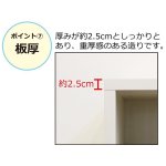 画像11: 送料無料！日本製ダブル棚板収納本棚 (11)