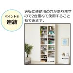 画像10: 送料無料！日本製ダブル棚板収納本棚 (10)