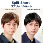 画像6: メンズウィッグ「スプリットショート(スタンダードブラック)」 (6)