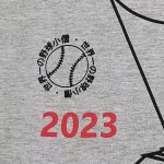 画像4: 送料無料！2023チャンピオンTシャツ (4)