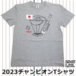 画像5: 送料無料！2023チャンピオンTシャツ (5)