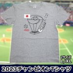 画像1: 送料無料！2023チャンピオンTシャツ (1)