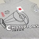 画像3: 送料無料！2023チャンピオンTシャツ (3)