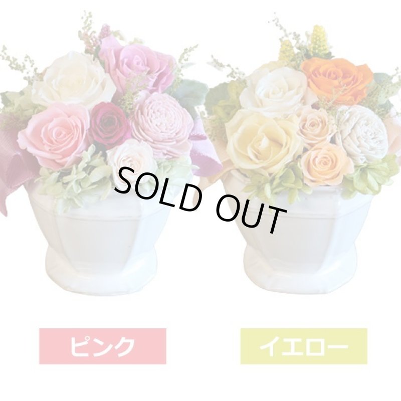 画像2: ATELIER MONO プリザーブドフラワー「シャルムール 陶器セット（クリアケース付）」 (2)