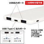 画像4: 送料無料！ミッフィー USB / USB Type-C 4000mAh リチウムイオンポリマー 充電器 2.1A／フェイス (4)