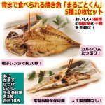 画像1: 骨まで食べれる焼き魚「まるごとくん」5種10枚セット (1)