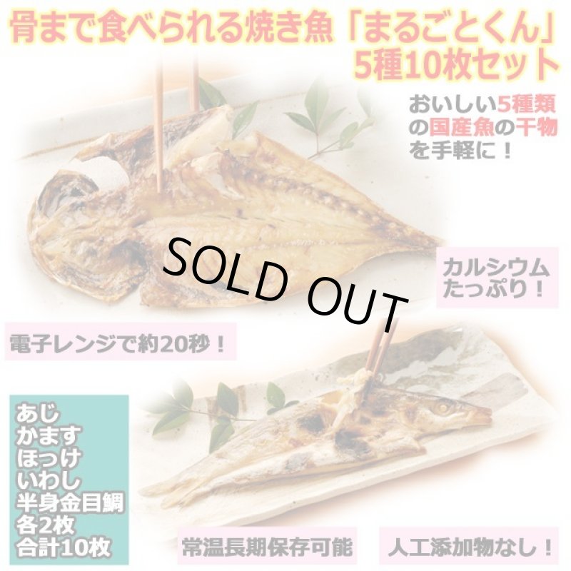 画像1: 骨まで食べれる焼き魚「まるごとくん」5種10枚セット (1)