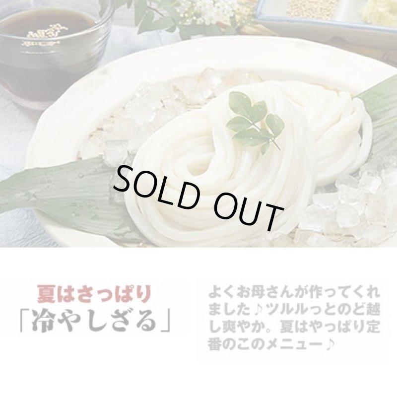 画像5: 讃岐うどん「うどん処 さぬきや」巨匠村川の讃岐うどん4箱組(16食) (5)