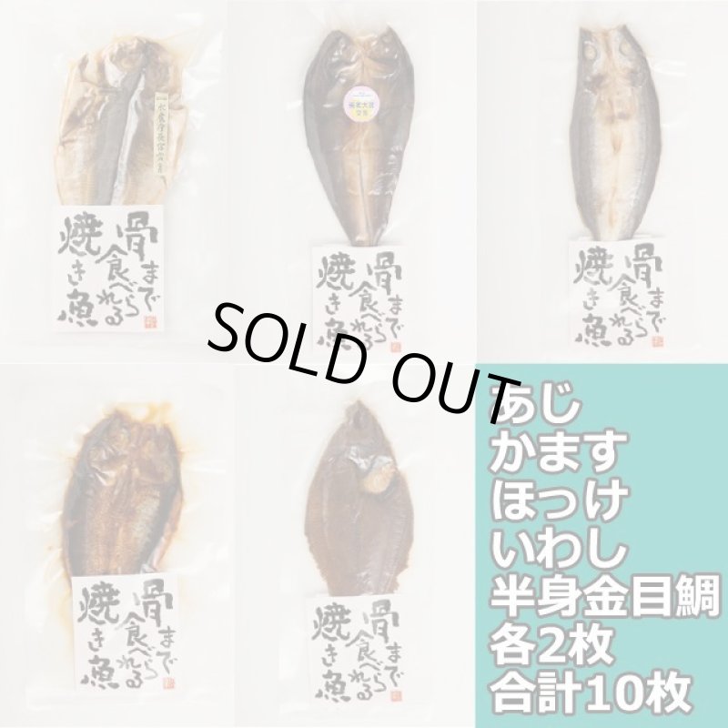 画像11: 父の日ラッピング 骨まで食べれる焼き魚「まるごとくん」5種10枚セット ミニ黄色いバラ付き (11)