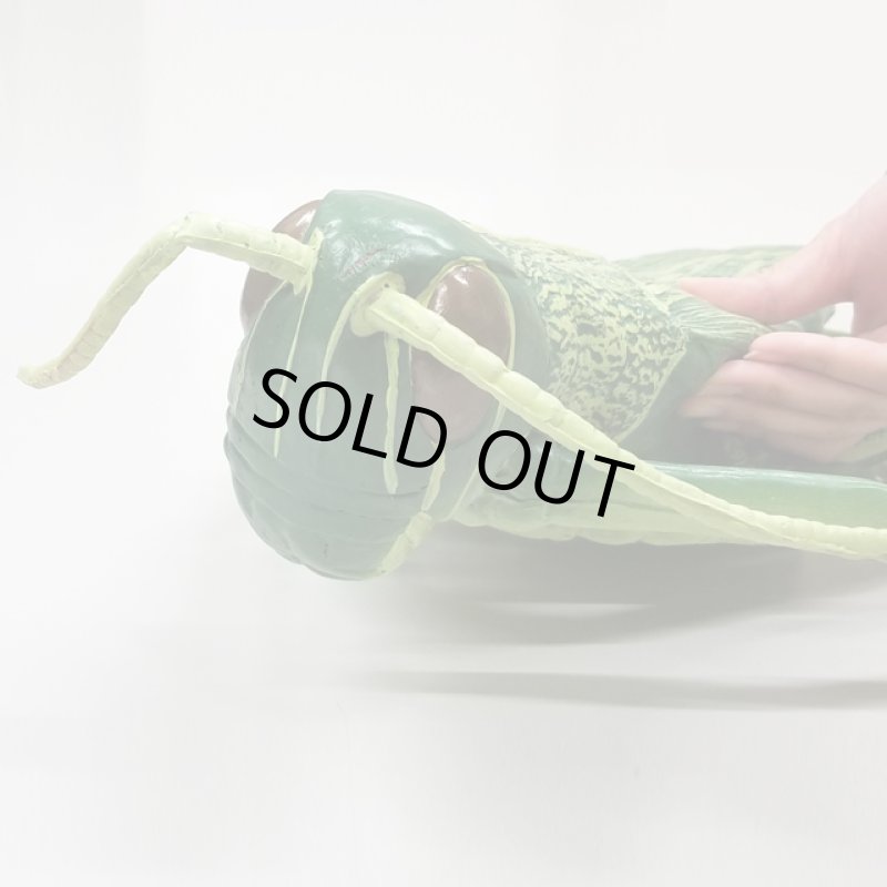 画像7: リアル巨大生物メガシリーズ「メガバッタ」 (7)