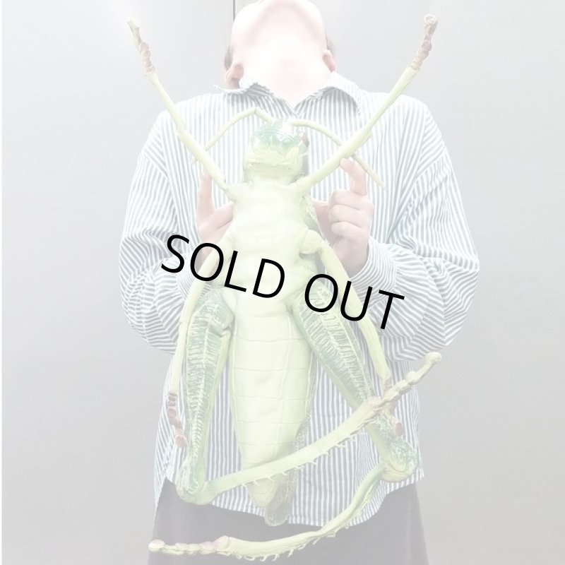 画像4: リアル巨大生物メガシリーズ「メガバッタ」 (4)