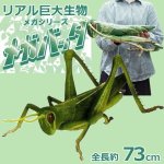 画像1: リアル巨大生物メガシリーズ「メガバッタ」 (1)