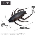 画像9: リアル巨大生物メガシリーズ「メガゴキブリ」 (9)