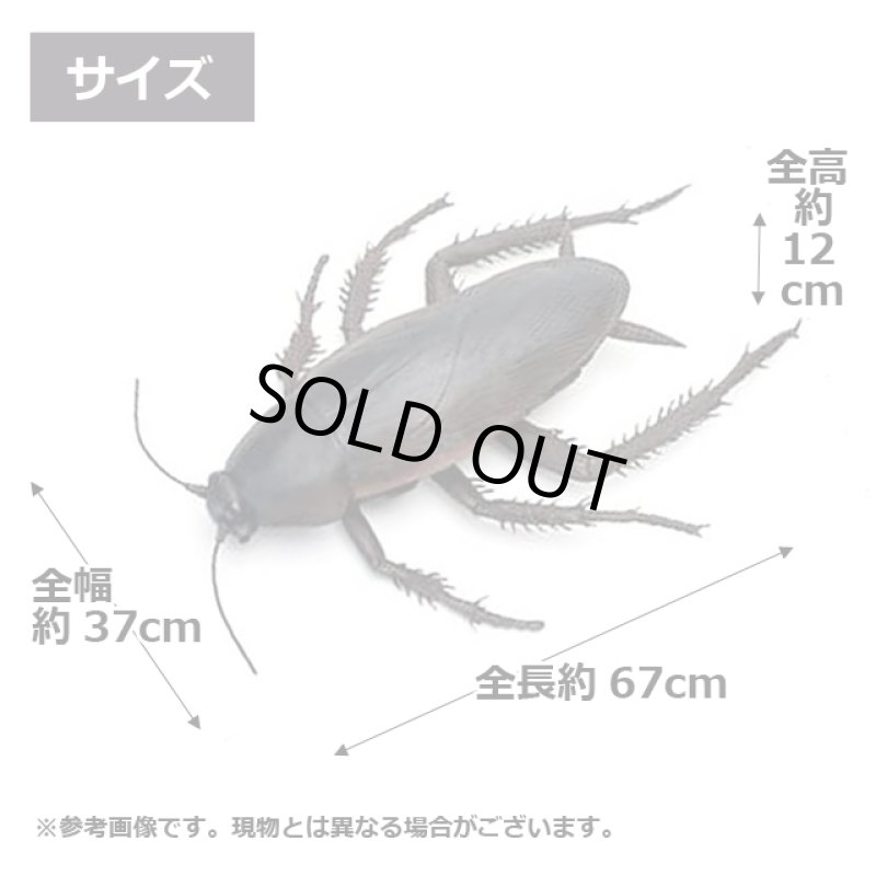 画像9: リアル巨大生物メガシリーズ「メガゴキブリ」 (9)