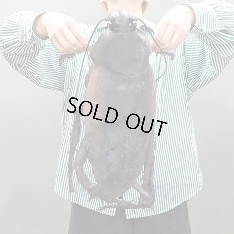 画像3: リアル巨大生物メガシリーズ「メガゴキブリ」 (3)