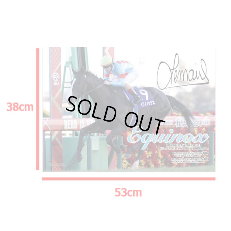 画像5: 「イクイノックス」2022年有馬記念Ver.ジグソーパズル500ピース (5)