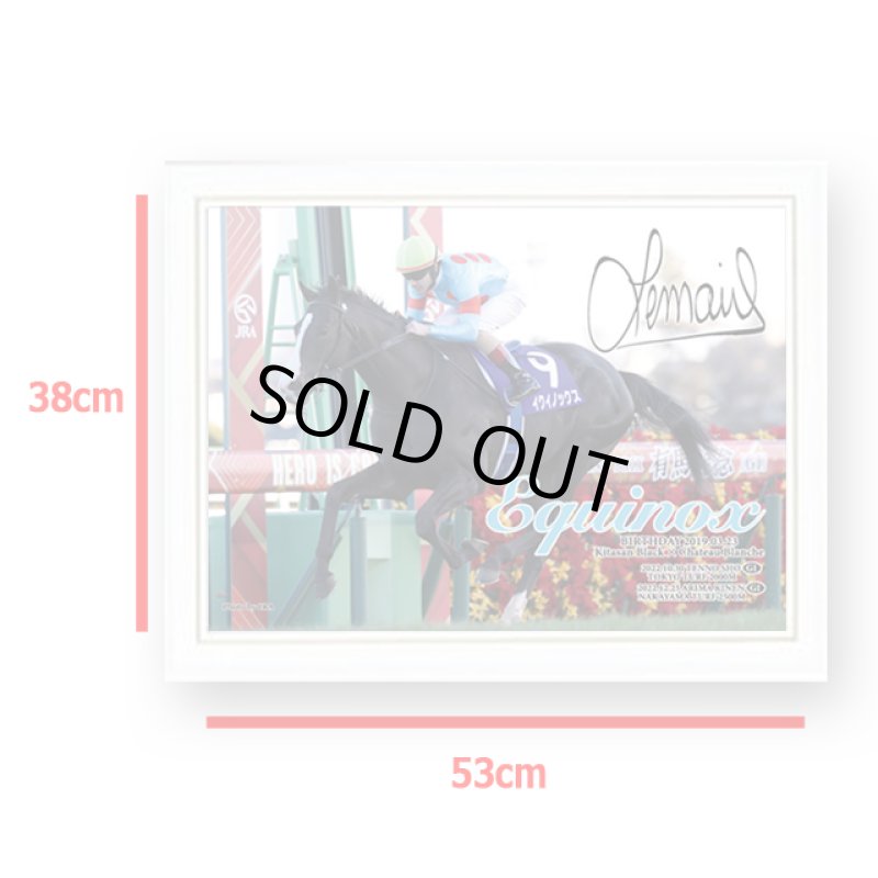 画像5: 「イクイノックス」2022年有馬記念Ver.ジグソーパズル500ピース（木製フレームセット） (5)